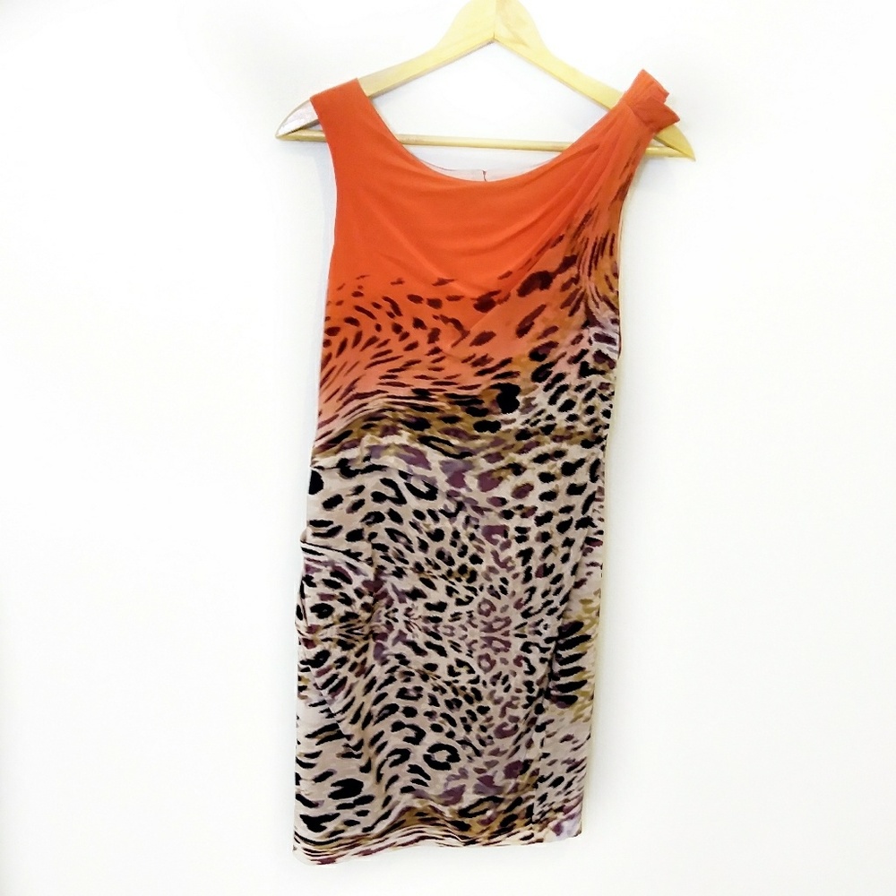 Yoana Baraschi animal red orange brown dress